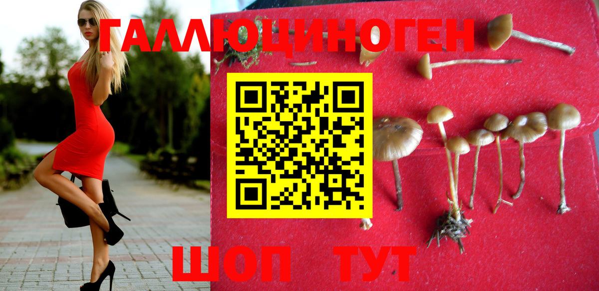 Псилоцибиновые грибы GOLDEN TEACHER  Вход с VPN  наркотики  Туймазы 